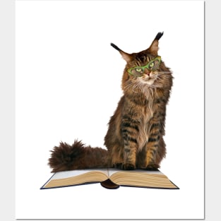 Angry Cat in Glasses Sits on Your Book Posters and Art